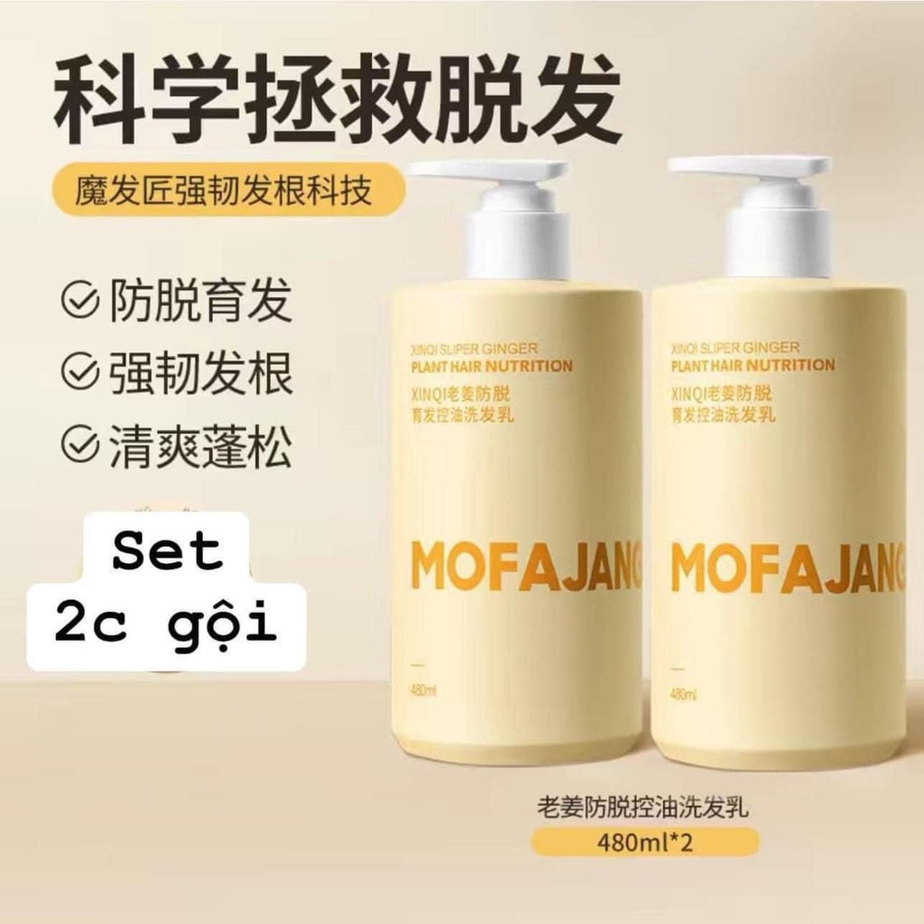 Sét dầu gừng-R13.0705
