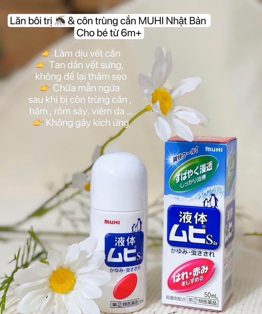 Lăn trị muỗi-Rlmmh2009