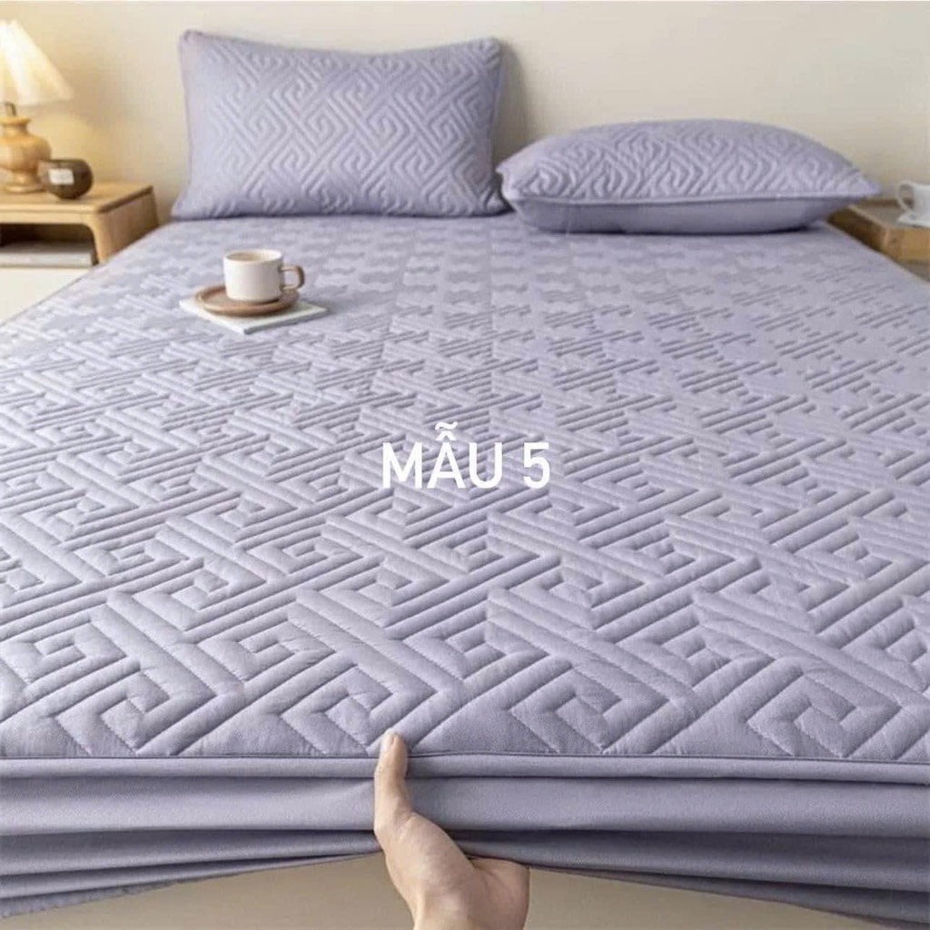 Sét ga gối-R12.189.24