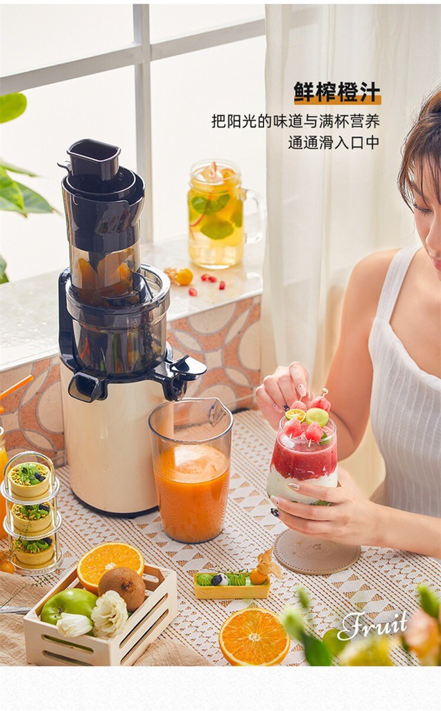 Máy ép chậm mini-R19.2705