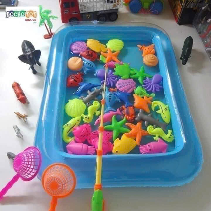 Bộ câu cá-R18.258.24