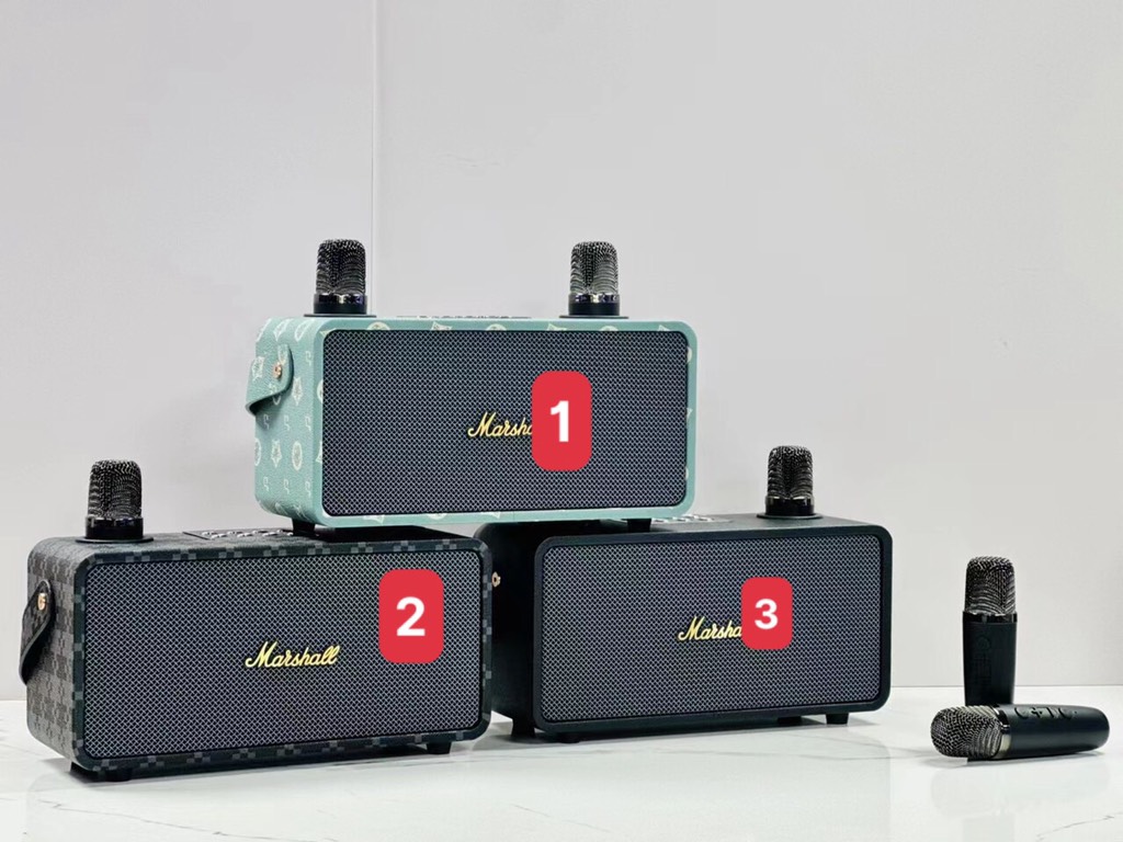 Bộ loa mic-RLmsx0501