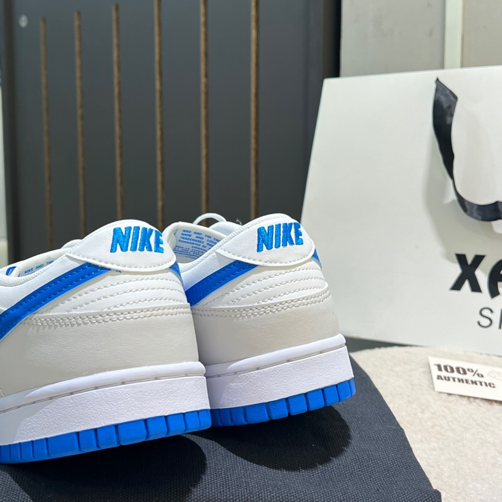 Dunk Low Retro Summit White Photo Blue DV0831 108