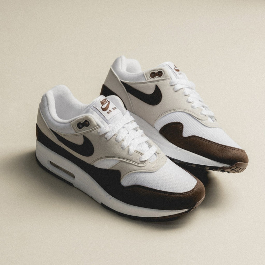 Air Max 1 Baroque Brown DZ2628 004