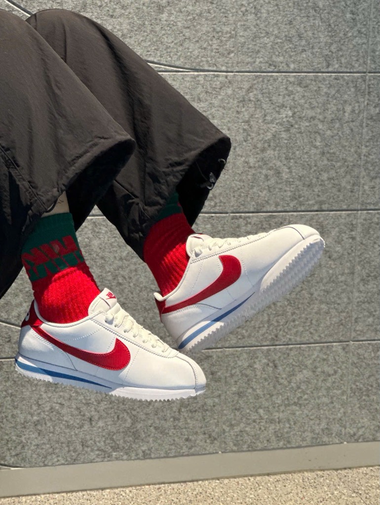 Nike Cortez Leather Forrest Gump DN1791 108