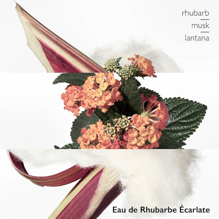 Nước Hoa HERMÈS Women's Mini Fragrance Discovery Set 4x7.5ml