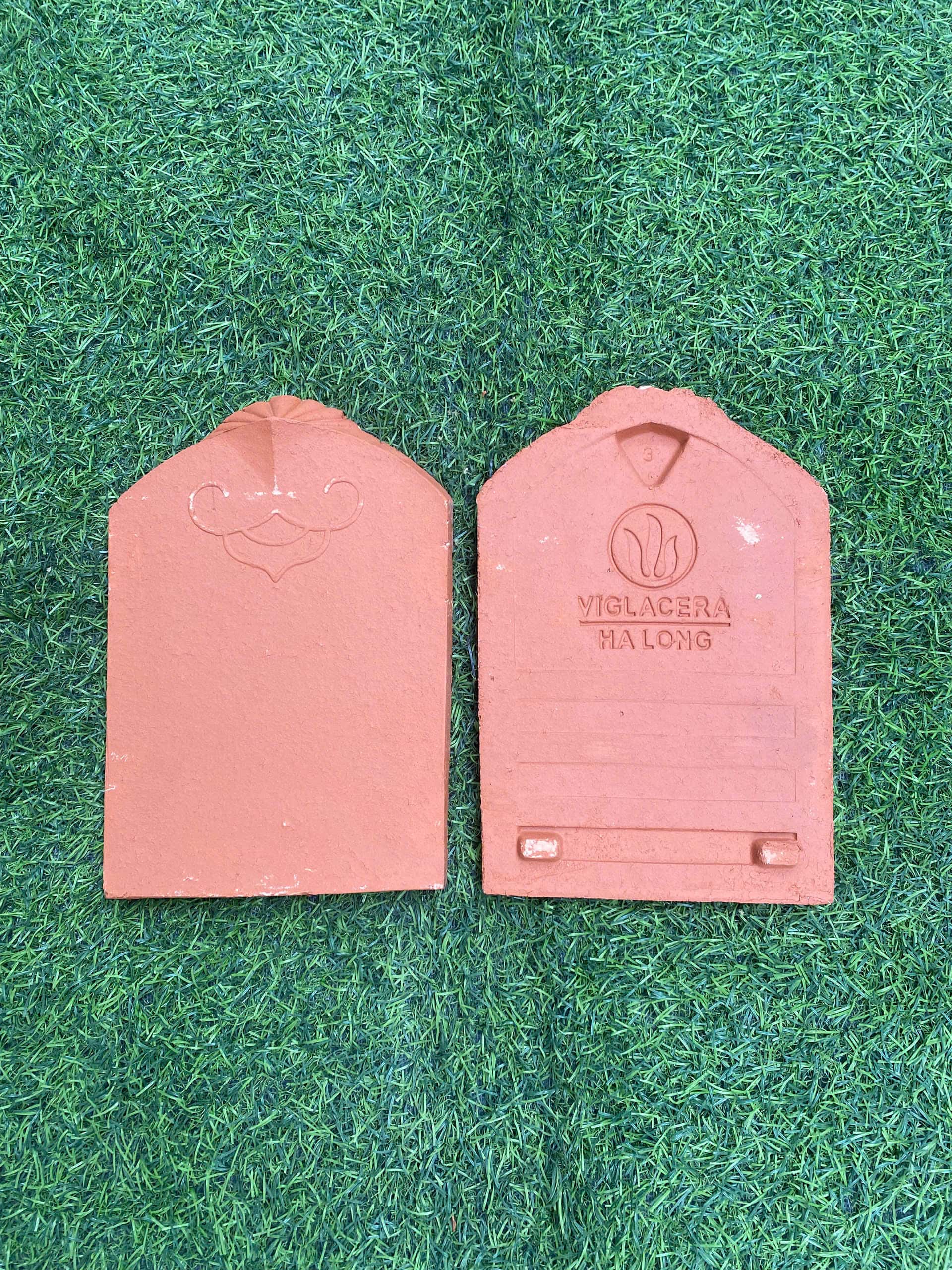 Ngói sò cổ Viglacera Hạ Long II