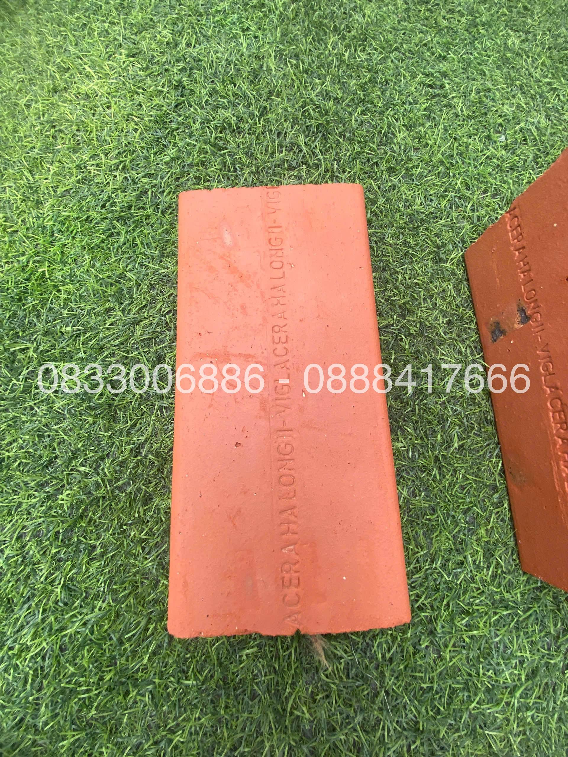 GẠCH ĐẶC KHÔNG TRÁT VIGLACERA HẠ LONG