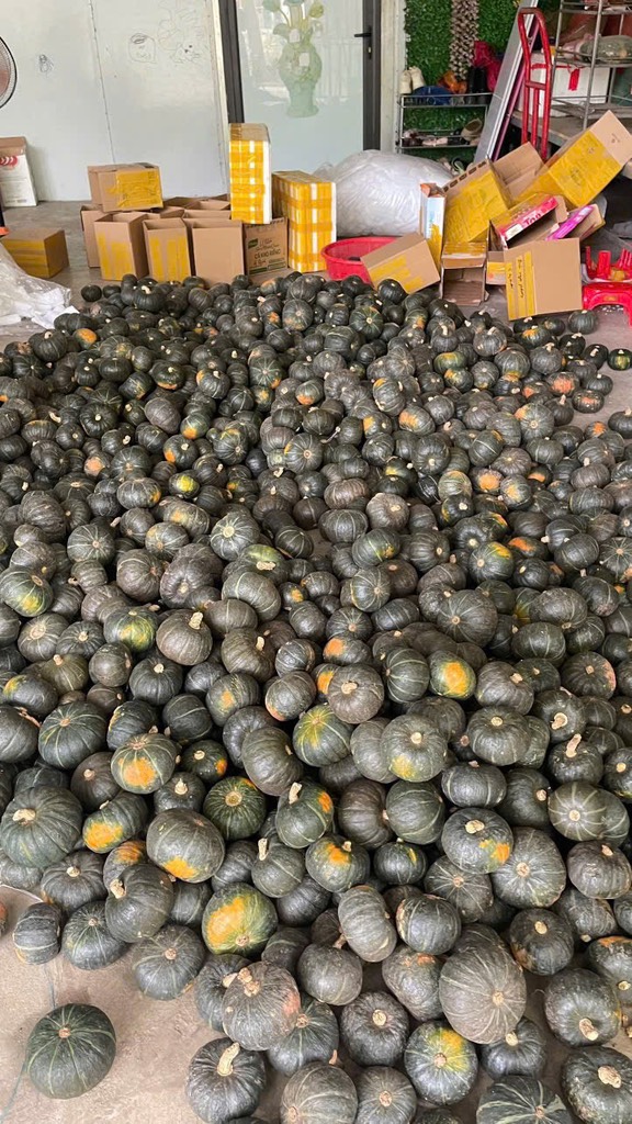 Bí đỏ hạt dẻ 1kg 2-3 trái