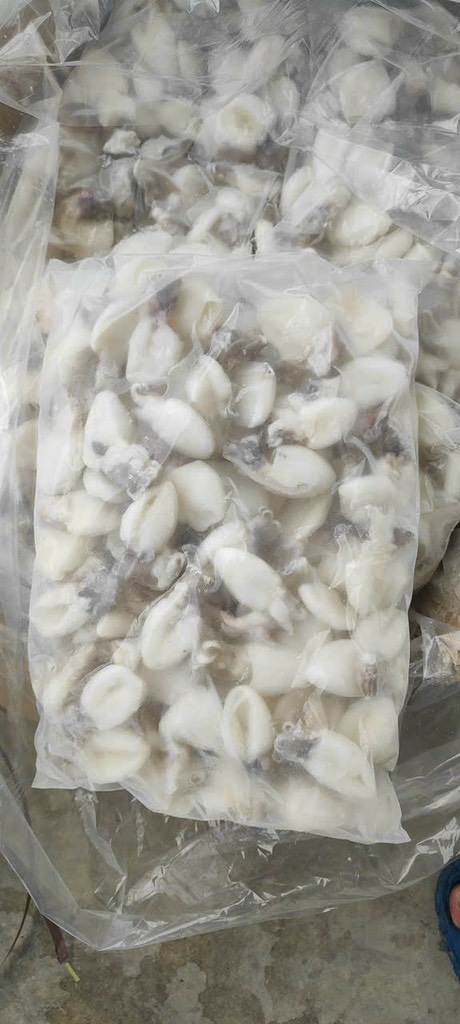 Mực nang nút baby 1kg net 8