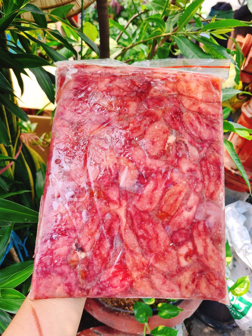 Bao Tử Cá Basa - Túi 1Kg