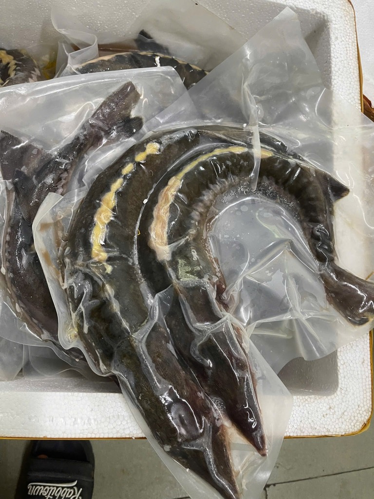 Cá tầm nguyên con làm sạch hut chân không 1kg