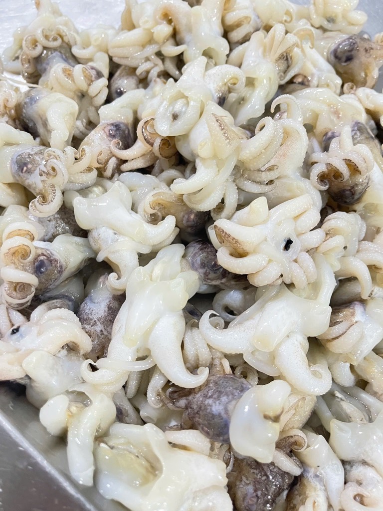 Đầu mực nang size 15-20 cái khay 450g
