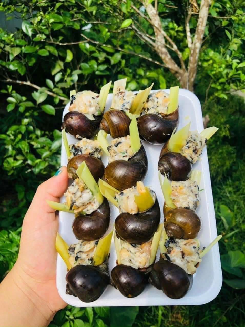 Ốc Nhồi Thịt Khay 12 con