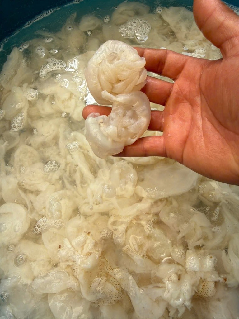 Sứa chén túi 500g luôn nước 1kg