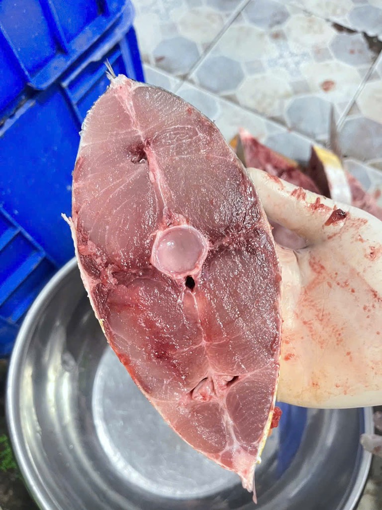 Cá Bè Trang Tươi Cắt Khúc Khay 1kg