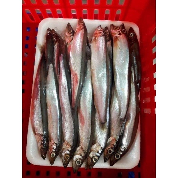 Cá Trứng Nauy Ăn - Khay 500Gr