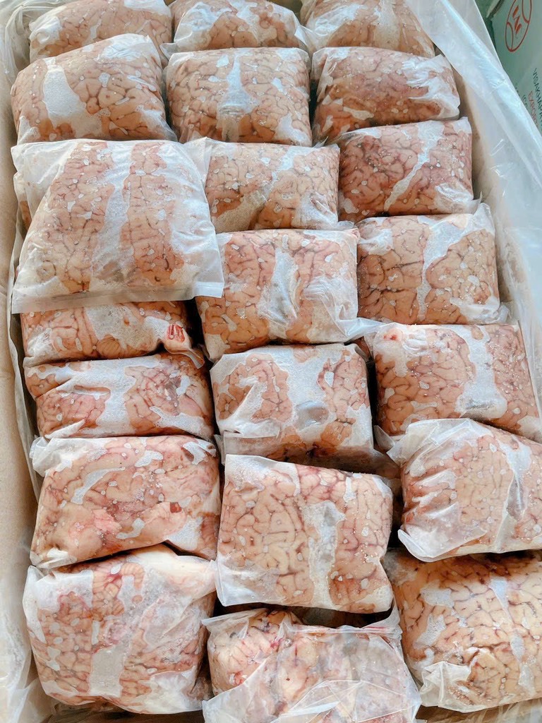 Ốc bò 1 túi 1 bộ ốc