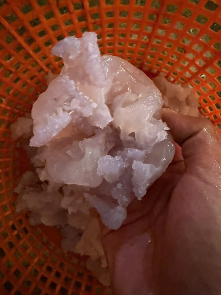 Sứa chùm gói 500g luôn nước 1kg