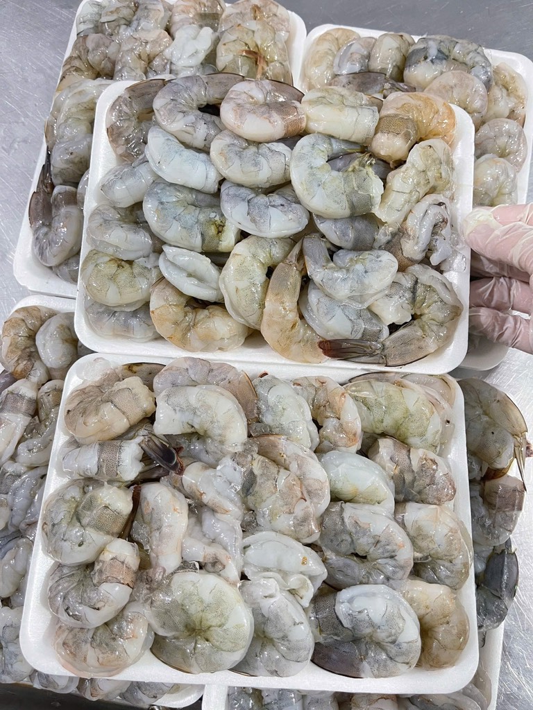 Tôm sống lột khay 500g 20-25 con