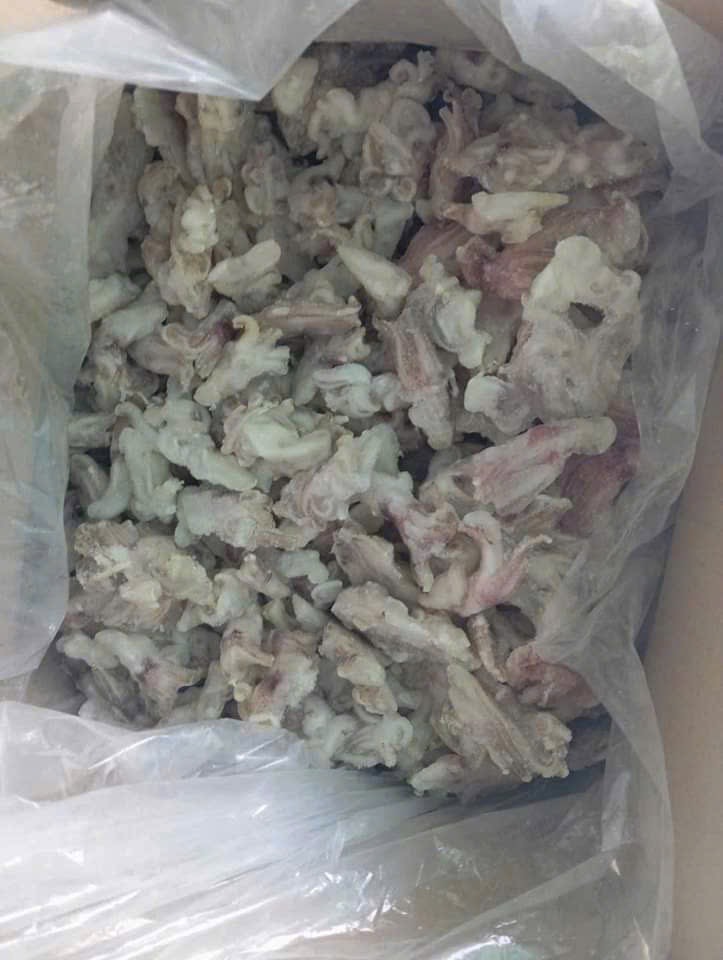 Đầu mực mini túi 1kg