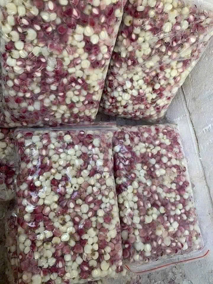 Bắp Bung Điện Biên 1kg