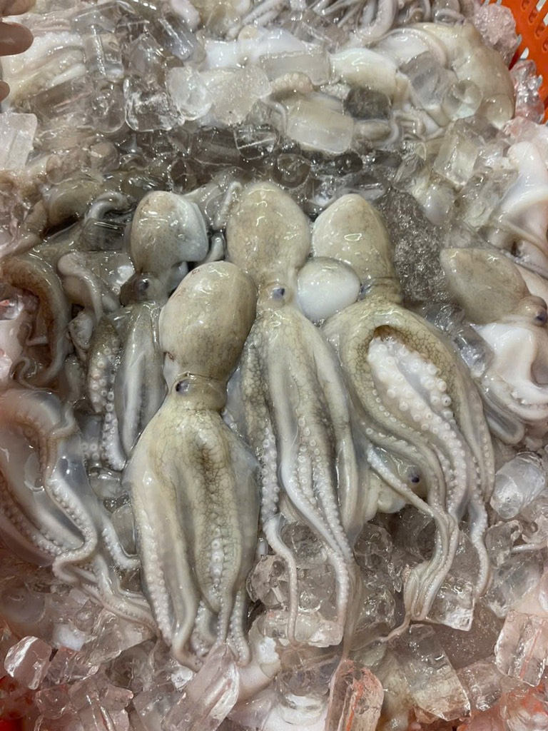 Bạch tuột tươi (tua 1 da ) khay 400g