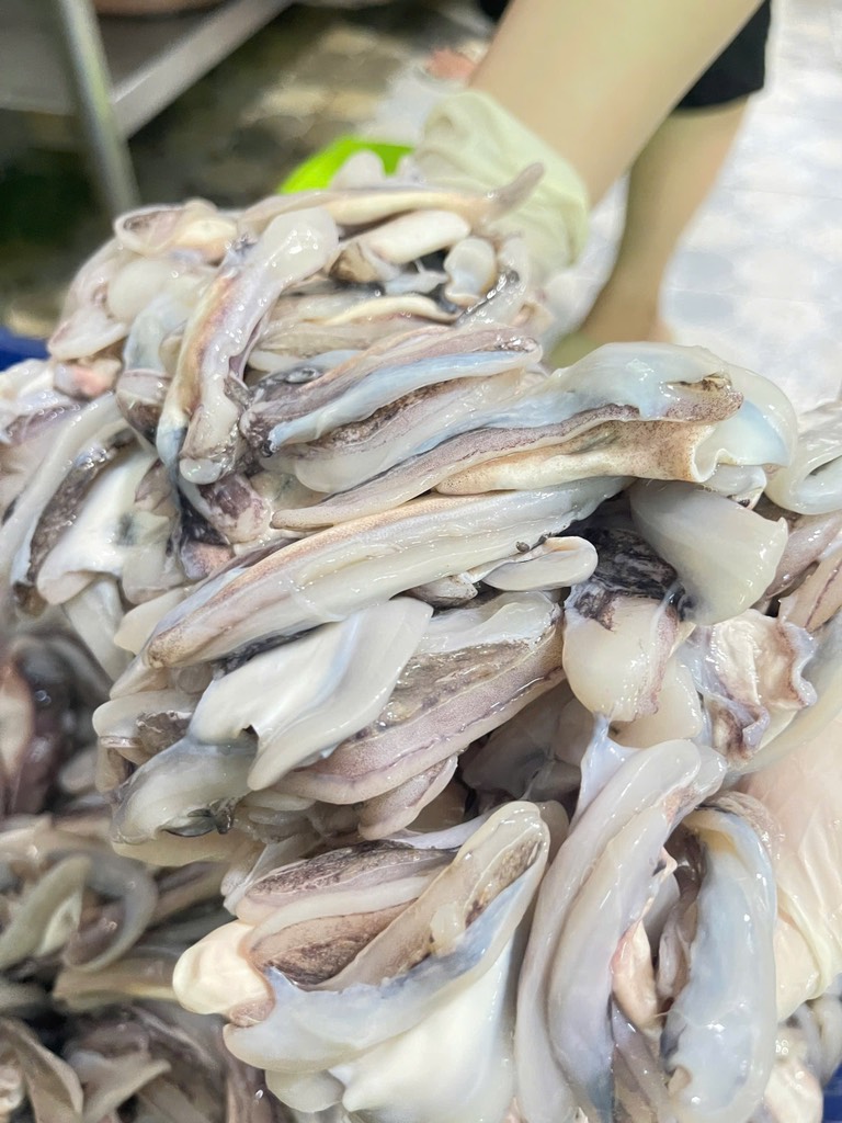 Dè mực nang nhỏ túi 1kg net 8