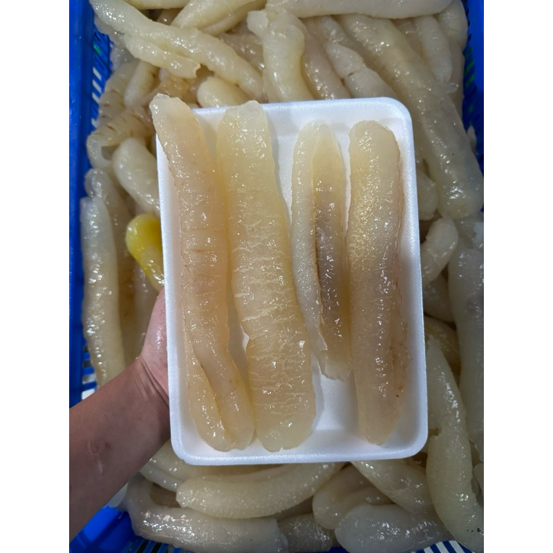 Hải Sâm Da Vàng - Khay 500g