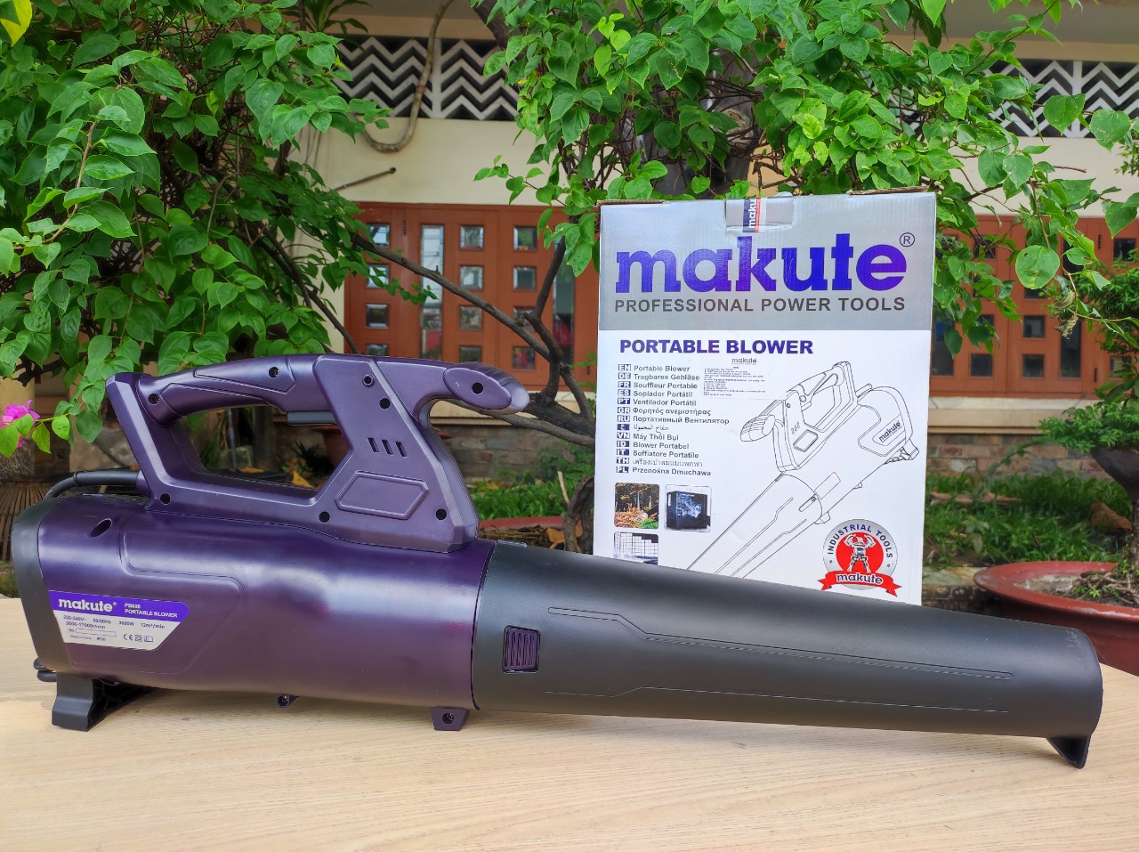 Máy thổi bụi PB008