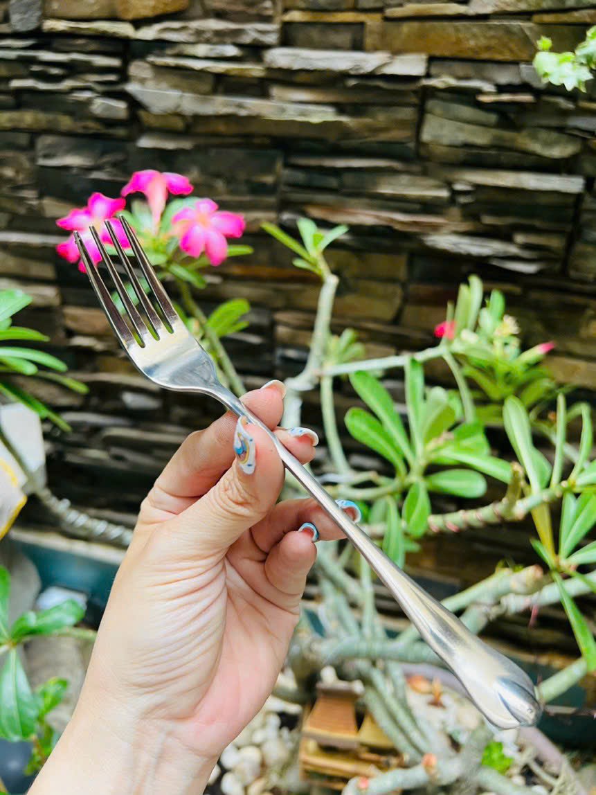 NĨA ĂN CƠM ĂN TRÁI CÂY INOX 304