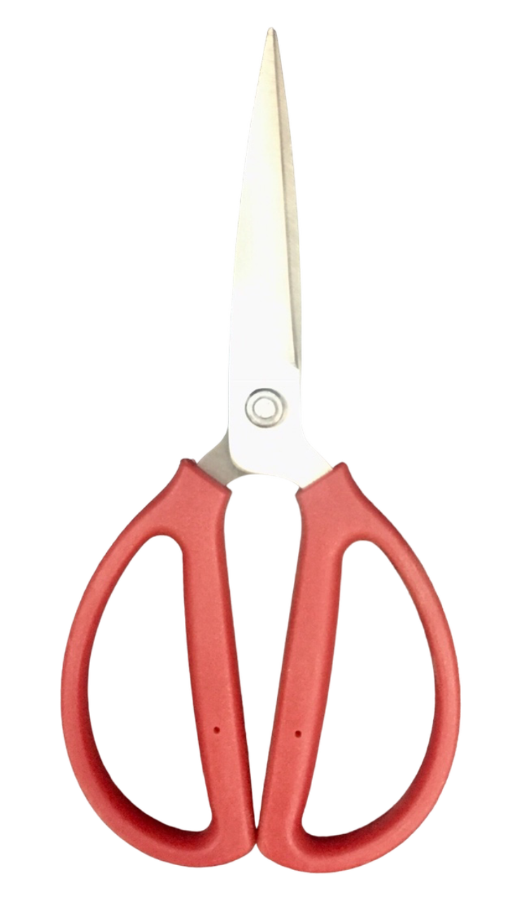 KÉO ĐỎ CẮT XƯƠNG