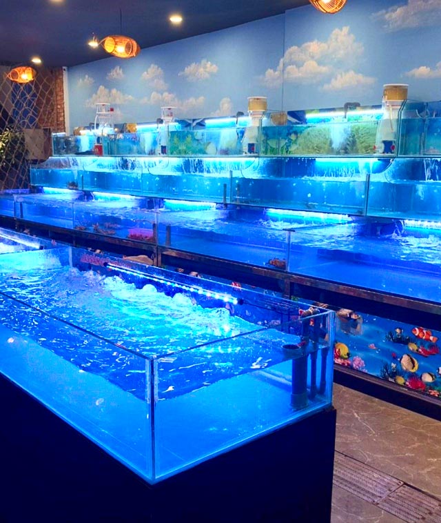 Thi công bể cá nhà hàng tại Nghệ An