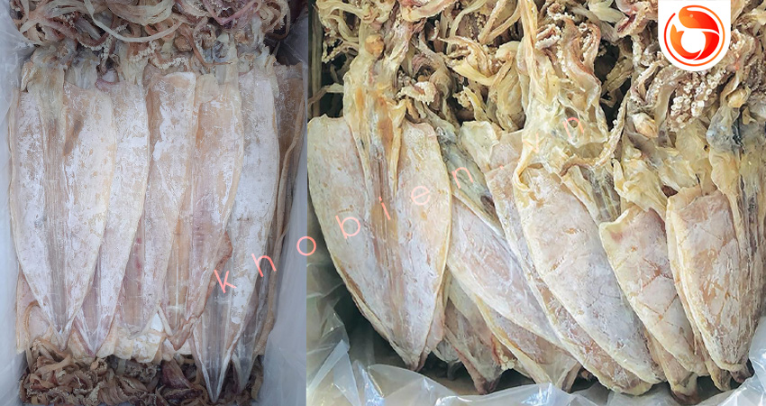 Bí Quyết Chọn Mua Mực Khô Ngon và Cách Phân Biệt Mực Khô Thật và Giả