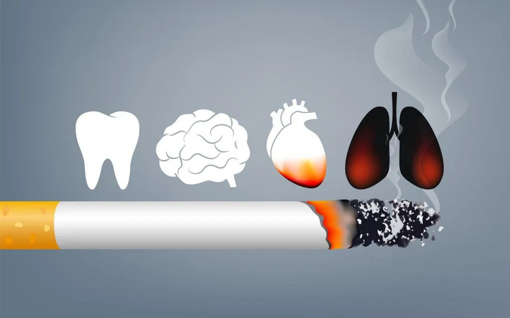Cảnh Báo: Các Chất Và Sản Phẩm Ảnh Hưởng Nghiêm Trọng Đến Khả Năng Sinh Sản