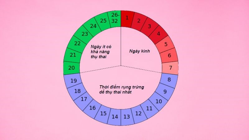 Đặt Vòng Tránh Thai Có An Toàn Không? Chi Phí, Địa Điểm Và Những Lưu Ý Quan Trọng