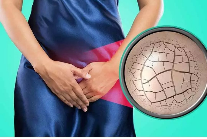 Khô Âm Đạo: Nguyên Nhân, Dấu Hiệu Và Cách Khắc Phục Hiệu Quả