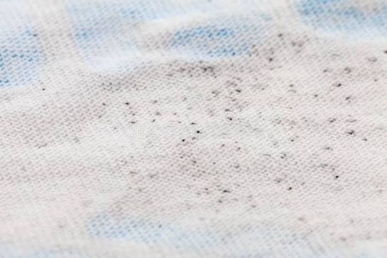 Mặc Quần Lót Bị Mốc Có Sao Không? Cảnh Báo Nguy Cơ Sức Khỏe Vùng Kín