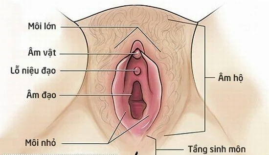 Môi Lớn Chảy Xệ Có Sao Không? Cách Khắc Phục An Toàn