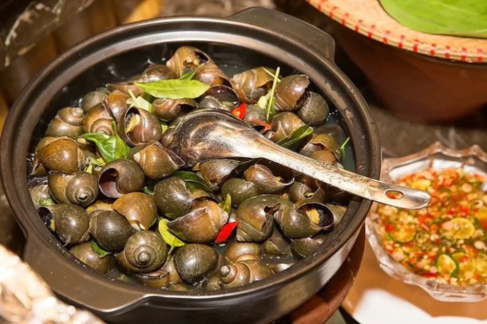 Tới Tháng Ăn Ốc Được Không? Ăn Thế Nào Để Không Đau Bụng Kinh?
