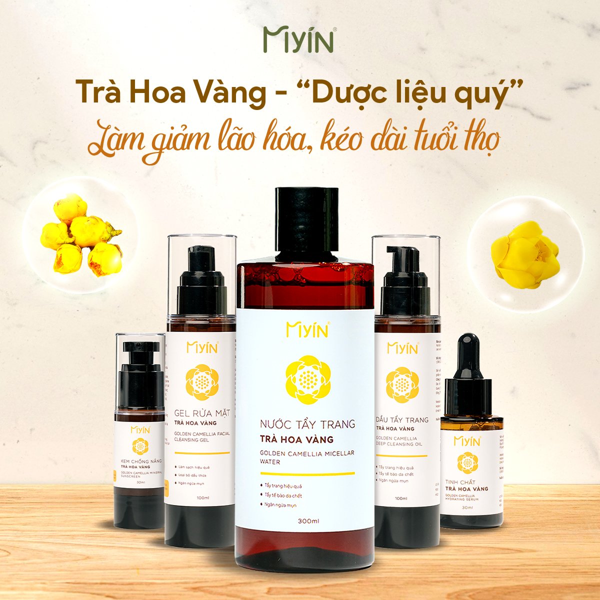 Trà Hoa Vàng – “Thảo dược quý” của mọi nhà