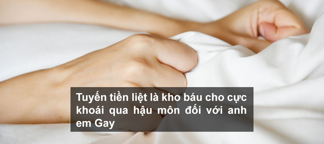 Tuyến tiền liệt là kho báu cho cực khoái qua hậu môn đối với anh em Gay