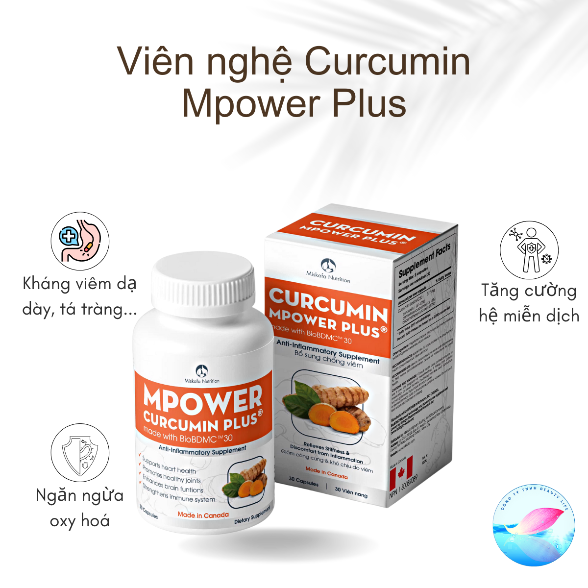 Viên nghệ Curcumin Mpower Plus