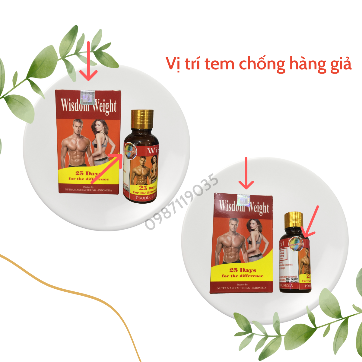 Vitamin Tăng Cân  Wisdom dành cho người gày