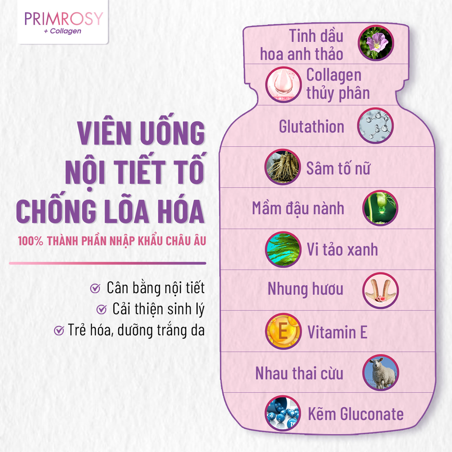 Viên uống nội tiết tố Primrosy Collagen Plus