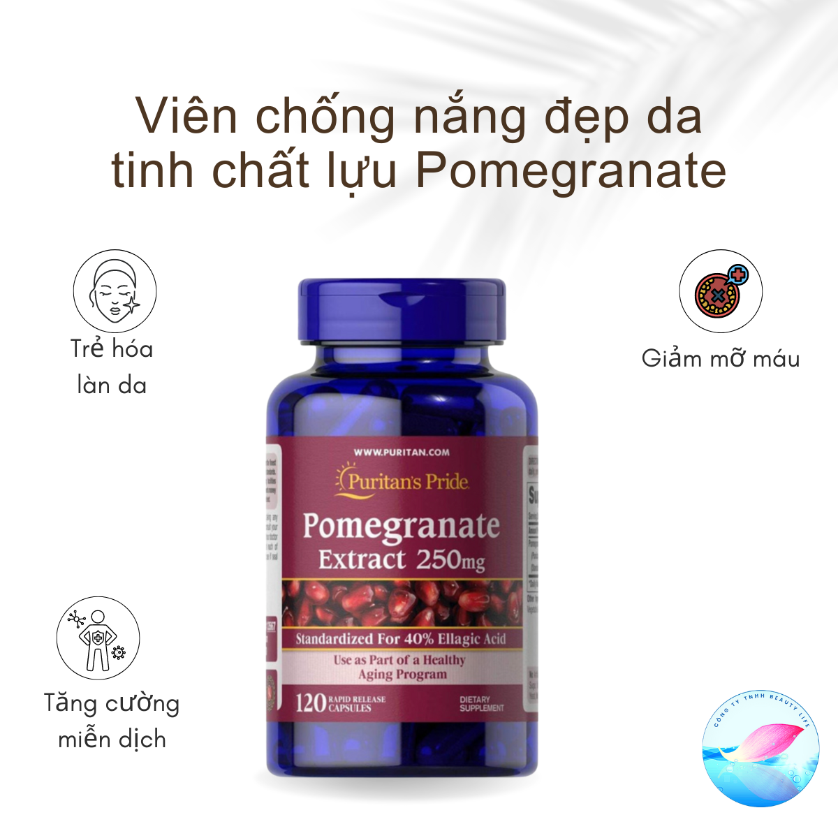 Viên uống chống nắng đẹp da nội sinh tinh chất lựu Pomegranate Extract 250mg của Mỹ