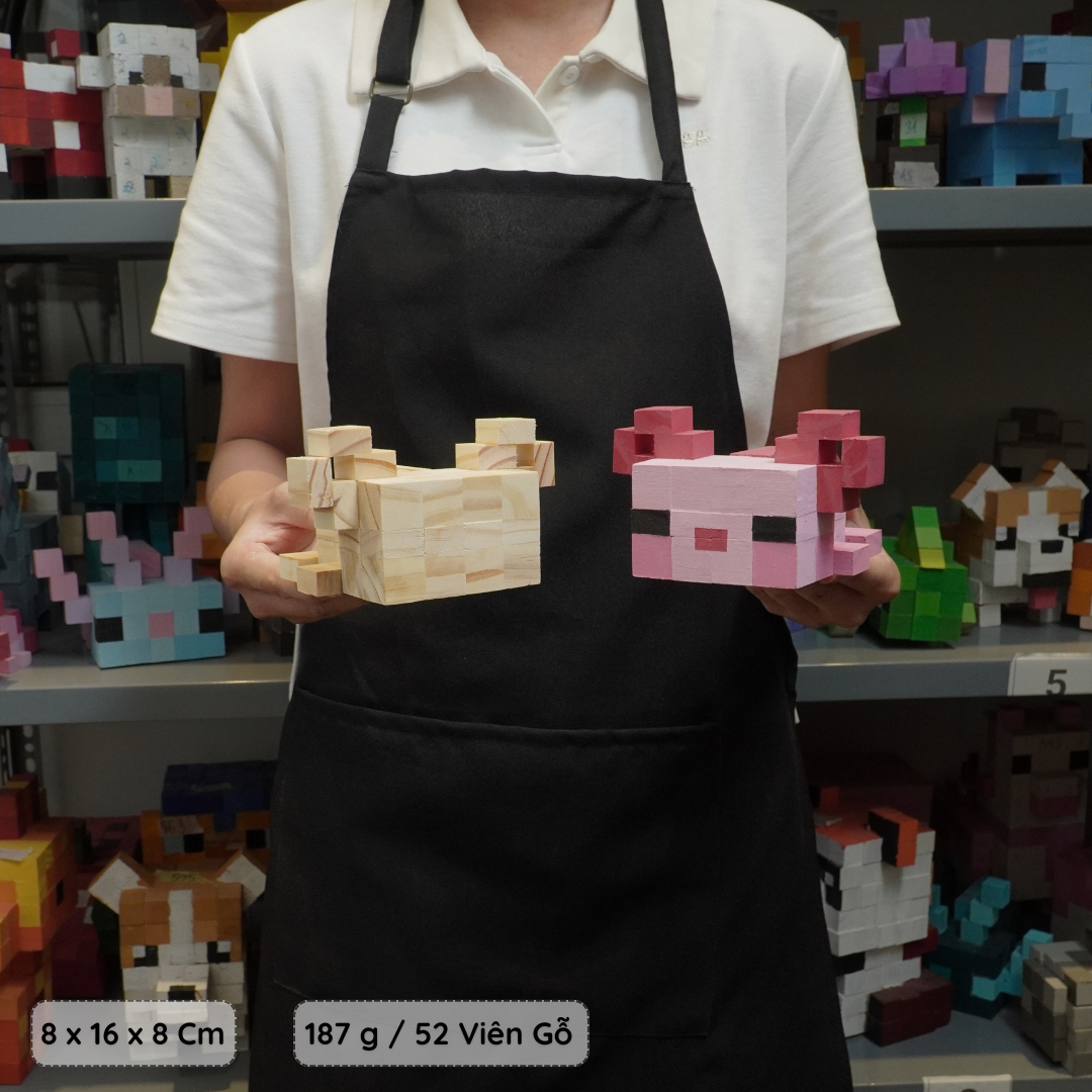 (DIY) Kit Tô Màu Minecraft Axolotl (size s)