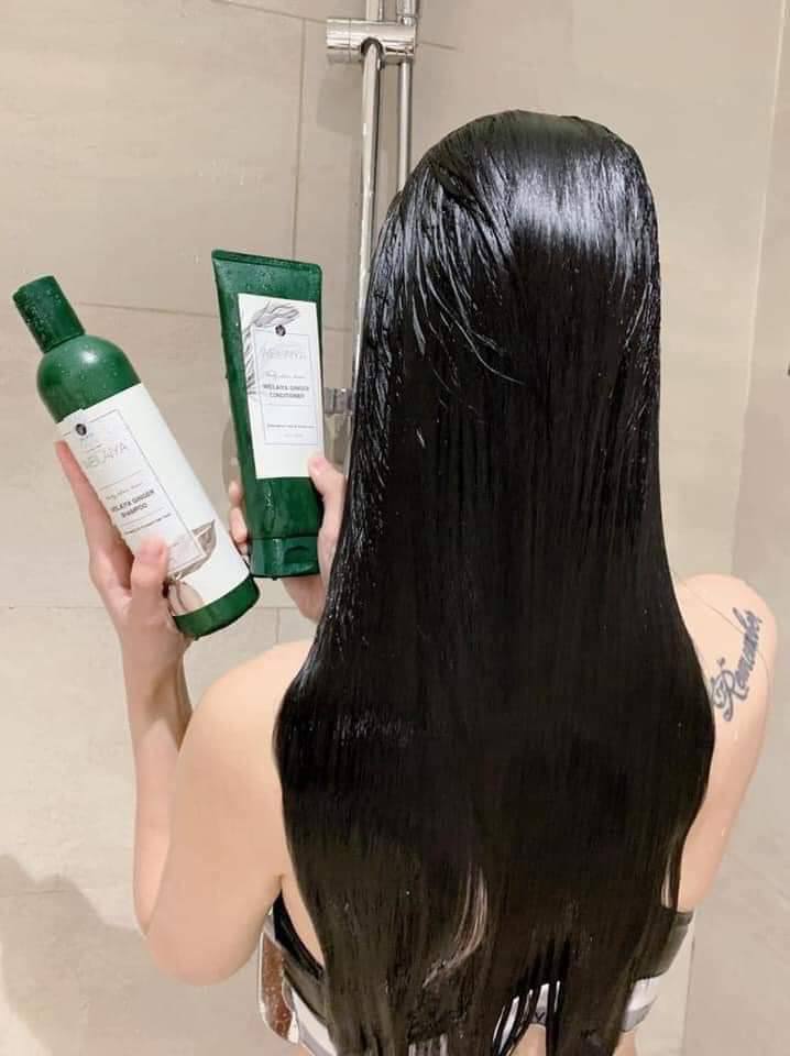 Dầu gội xả gừng Weilaiya chống rụng kích thích mọc tóc