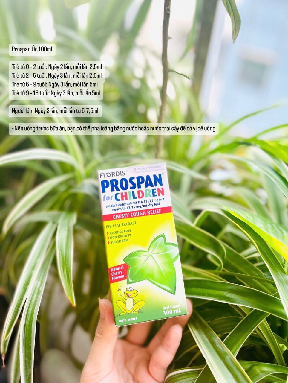 Siro ho Prospan úc 100ml