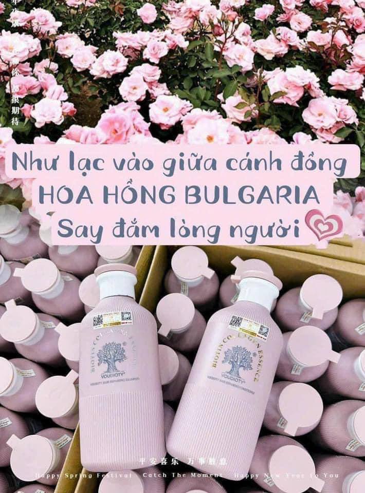 Dầu gội xả Biotin Essence màu hồng mỗi chai 500ml